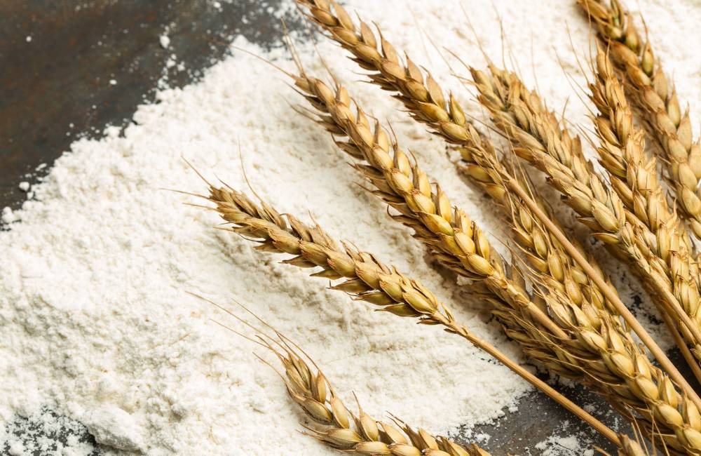 Locandina: Sagra a Laigueglia
